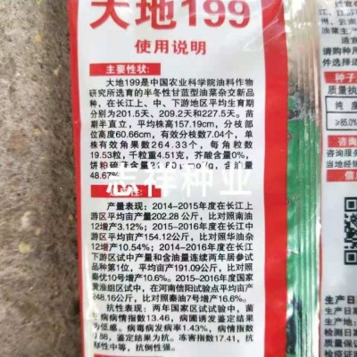 中油大地199杂交油菜种子 榨油油菜籽高油抗倒抗病90克 2袋图2