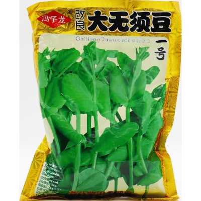 豌豆豆种豆苗苗种种子尖蔬菜孑甜豌豆种籽无须荷兰盆栽菜种碗豆苗 2袋