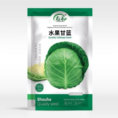 绿甘蓝种子苗卷心菜包菜种籽孑秧四季圆白菜青菜蔬菜苗大头菜秧苗 2袋图5