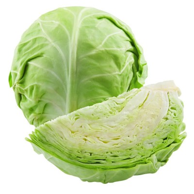 绿甘蓝种子苗卷心菜包菜种籽孑秧四季圆白菜青菜蔬菜苗大头菜秧苗 2袋图4