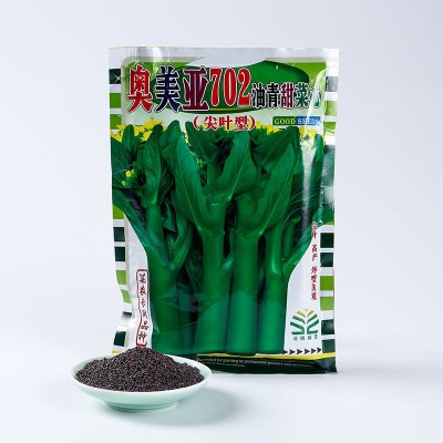 闽蔬农科蔬菜种子 奥美亚702菜心种子种植园实体经销现货批发 2袋图3