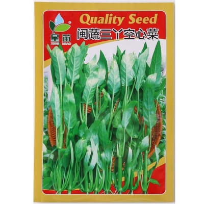 三叉空心菜种子 蕹菜梗半青白三梗长形通心菜蔬菜种子批发 2袋