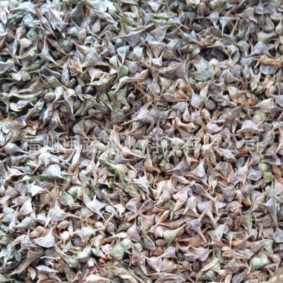 大量供应 黄叶菠菜种子散装 圆叶菠菜批发 蔬菜种子 量大价优 2千克图4