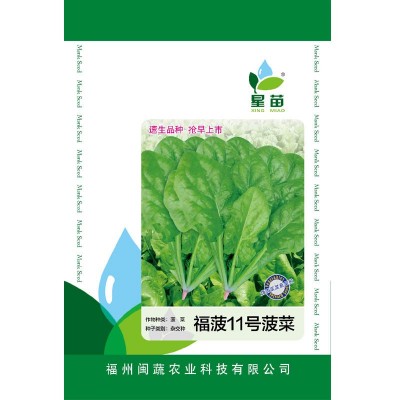大量供应 黄叶菠菜种子散装 圆叶菠菜批发 蔬菜种子 量大价优 2千克