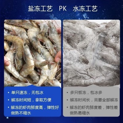 大虾鲜活海水大虾基围虾鲜活速冻盐冻冷冻无冰海捕海虾海鲜代发2盒图3