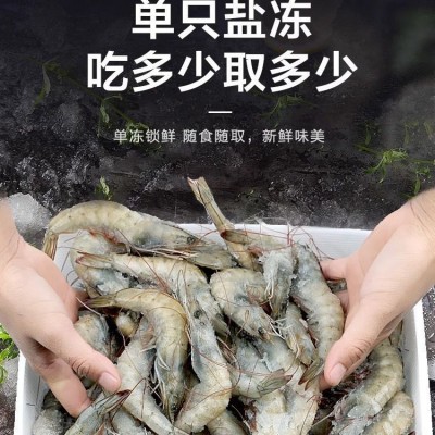 大虾鲜活海水大虾基围虾鲜活速冻盐冻冷冻无冰海捕海虾海鲜代发2盒图5