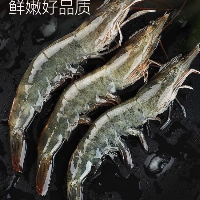 大虾鲜活海水大虾基围虾鲜活速冻盐冻冷冻无冰海捕海虾海鲜代发2盒图2
