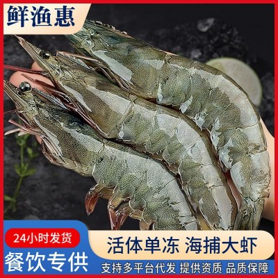 大虾鲜活海水大虾基围虾鲜活速冻盐冻冷冻无冰海捕海虾海鲜代发2盒