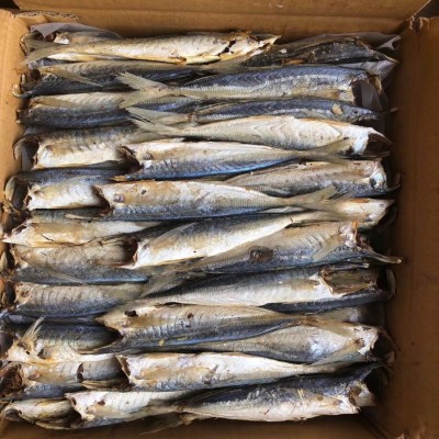 池鱼 熟池 巴浪鱼 咸鱼 海味干货 鱼 海鲜干货 咸鱼 水产 海产品2件
