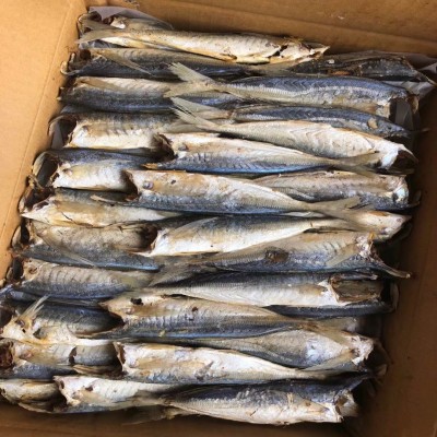 池鱼 熟池 巴浪鱼 咸鱼 海味干货 鱼 海鲜干货 咸鱼 水产 海产品2件图2