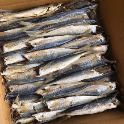 池鱼 熟池 巴浪鱼 咸鱼 海味干货 鱼 海鲜干货 咸鱼 水产 海产品2件图3