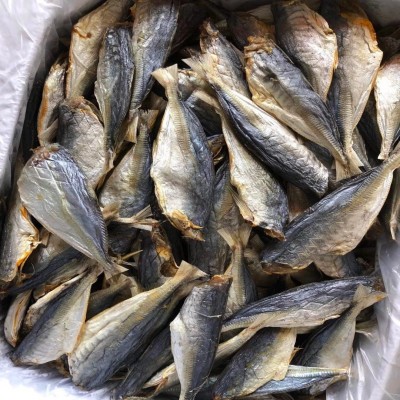 生池 池鱼 鱼干 咸鱼 干货 海干 鱼 海鲜干货 咸鱼 水产 海产品2件图4
