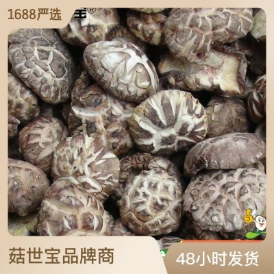 西峡花菇2.0-5.0菇世宝a级花菇 南北干货食用菌 产地货源片香菇 5件