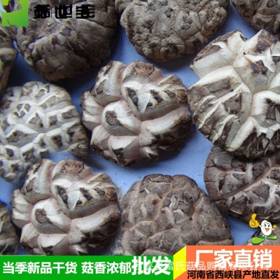 西峡花菇2.0-5.0菇世宝a级花菇 南北干货食用菌 产地货源片香菇 5件图3