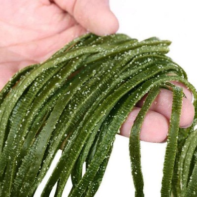 当季新货5斤盐渍海带丝整箱批发海菜凉拌小菜火锅专用1斤3斤图4