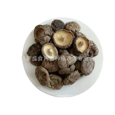 河南特产精品干香菇大厚菇 肉厚 无根人工手选工厂直发 50斤