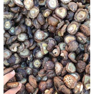 河南春栽香菇 冬菇 平脚肉厚干净 烘干处理 源头产地实力工厂 5件图3