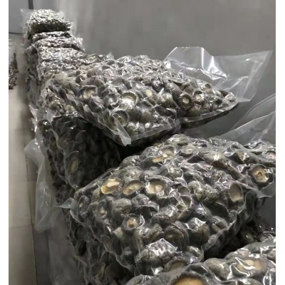 河南春栽香菇 冬菇 平脚肉厚干净 烘干处理 源头产地实力工厂 5件图4