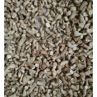 优质货源香菇脚 菇脚1-1.2规格迷你小菇脚 专供食品厂酱厂 50件图2