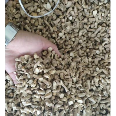 优质货源香菇脚 菇脚1-1.2规格迷你小菇脚 专供食品厂酱厂 50件