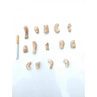香菇脚手挑货 干净双剪净度99%以上原产地厂家直销 50件图3