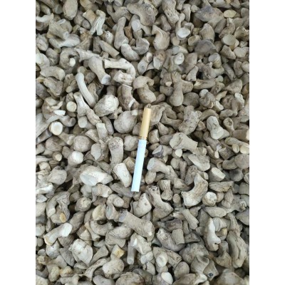 香菇脚手挑货 干净双剪净度99%以上原产地厂家直销 50件图4