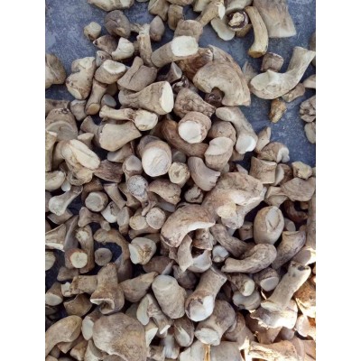 香菇脚手挑货 干净双剪净度99%以上原产地厂家直销 50件图2