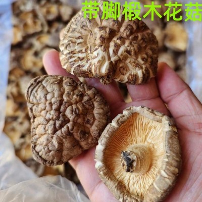 椴木香菇干 椴木花菇 原木干香菇 随州特产 散装木头香菇批发 50斤