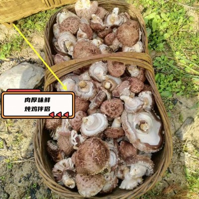 椴木香菇干 椴木花菇 原木干香菇 随州特产 散装木头香菇批发 50斤图3