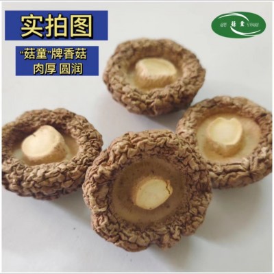 云和香菇厂家批发光面香菇食用菌250g散装南北干货厂家供应童菇 2件图2