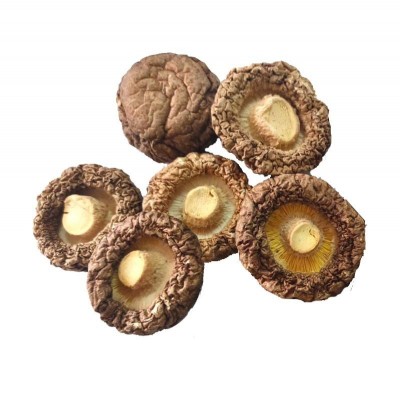 云和香菇厂家批发光面香菇食用菌250g散装南北干货厂家供应童菇 2件图5