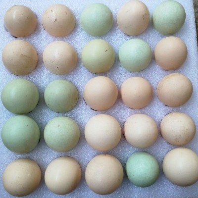 白壳/绿壳土鸡蛋批发 40-50g新鲜鸡蛋盒装 农家散养土鸡蛋30枚/盒 50枚图4