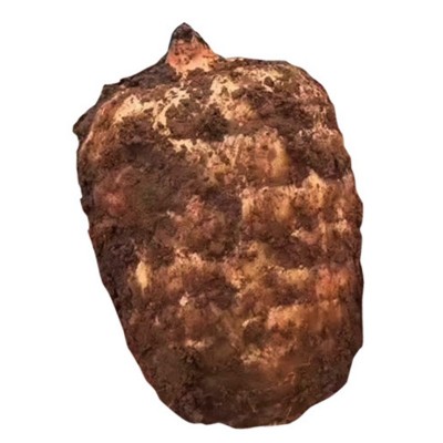 500g装昭通新鲜天麻鲜货现挖现货云南小草坝新鲜带土天麻新鲜天麻2包图3