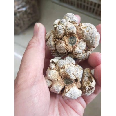 500克装 三七文山三七云南三七个头水洗三七云三七文山可切片磨粉2斤图3