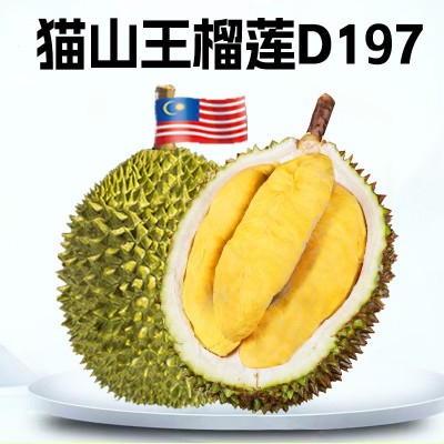 马来西亚猫山王榴莲D197厂家整箱新鲜水果批发液氮冷冻榴莲肉A果图5