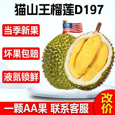 马来西亚猫山王榴莲D197厂家整箱新鲜水果批发液氮冷冻榴莲肉A果图1