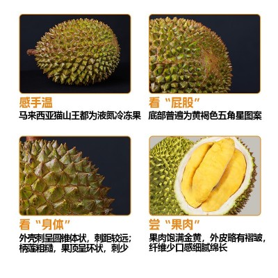 马来西亚猫山王榴莲D197厂家整箱新鲜水果批发液氮冷冻榴莲肉A果图4