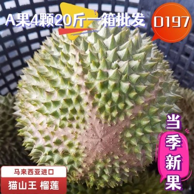 猫山王榴莲d197马来西亚冻榴莲A果4个冷冻4颗一箱 批发液氮榴莲图1