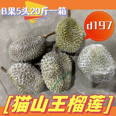猫山王榴莲 马来西亚20斤一箱批发1箱5个液氮 冰冻B果5颗d197榴莲图5