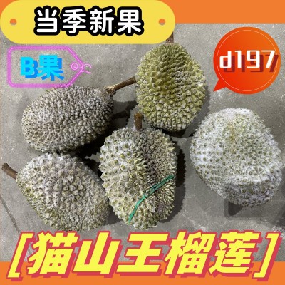 猫山王榴莲 马来西亚20斤一箱批发1箱5个液氮 冰冻B果5颗d197榴莲图1