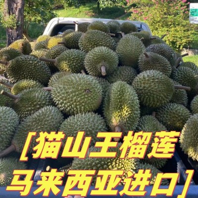 猫山王榴莲 马来西亚20斤一箱批发1箱5个液氮 冰冻B果5颗d197榴莲图2