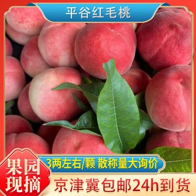 现摘现发红毛桃平谷新鲜水果应季黄毛桃批发整斤毛桃小果3左右/个图1