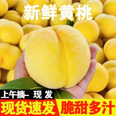 现摘现发红毛桃平谷新鲜水果应季黄毛桃批发整斤毛桃小果3左右/个图2