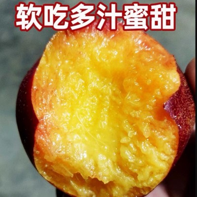 红油桃平谷油桃 新鲜水果现摘脆甜应季5斤礼盒装清甜果大黄油桃图4
