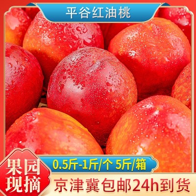 红油桃平谷油桃 新鲜水果现摘脆甜应季5斤礼盒装清甜果大黄油桃图1