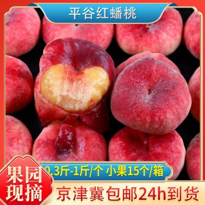 蟠桃 平谷蟠桃大脆甜鲜桃 伴手礼盒蟠桃寿宴蟠鲜桃现摘毛红蟠桃图1