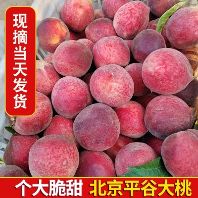 团购批发平谷大桃子礼盒装5斤 平谷鲜桃中秋送礼现摘新鲜水果毛桃图3