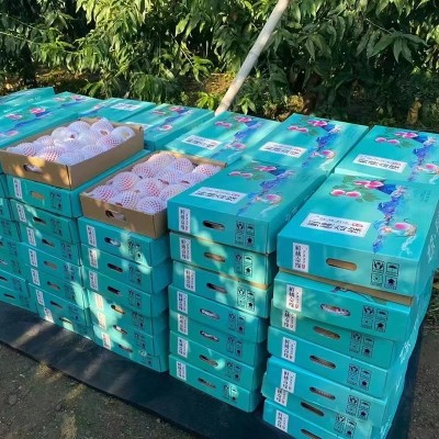 团购批发平谷大桃子礼盒装5斤 平谷鲜桃中秋送礼现摘新鲜水果毛桃图2