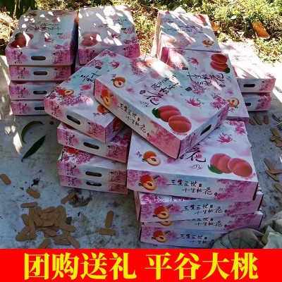 团购批发平谷大桃子礼盒装5斤 平谷鲜桃中秋送礼现摘新鲜水果毛桃图1