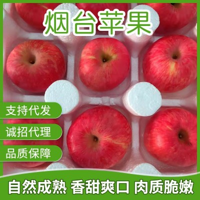 果园直供 山东烟台红富士当季新鲜 现摘红富士水果 整箱批发图1